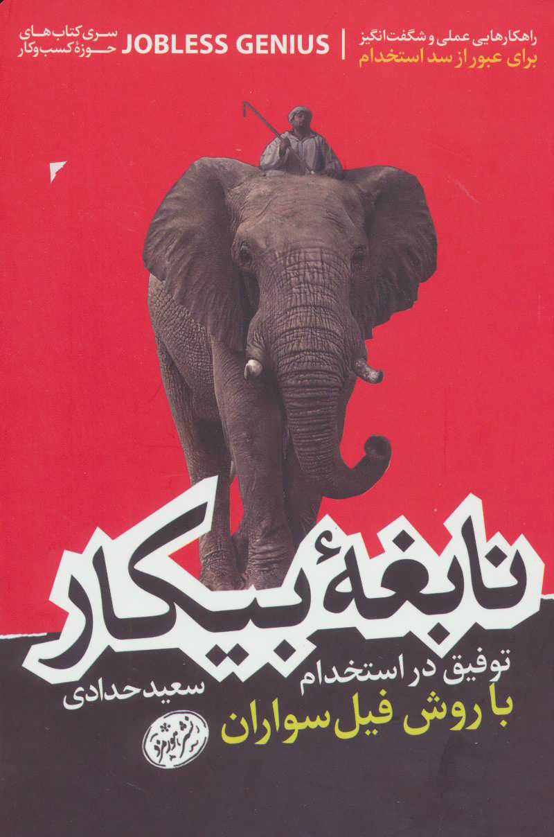 خرید کتاب نابغه بیکار مغز اثر سعید حدادی
