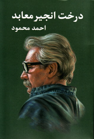 خرید کتاب درخت انجیر معابد اثر احمد محمود (2 جلدی)