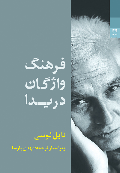 خرید کتاب فرهنگ واژگان دریدا اثر نیل لوسی