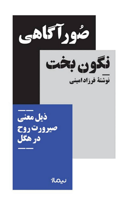 کتاب صور آگاهی نگون بخت اثر فرزاد امینی