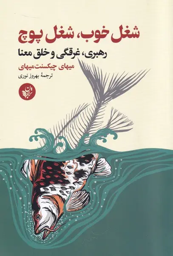 جلد کتاب شغل خوب، شغل پوچ اثر میهای چیکسنت میهایی