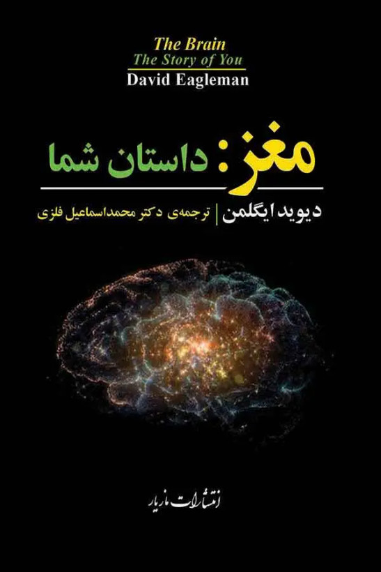 جلد کتاب مغز: داستان شما اثر دیوید ایگلمن